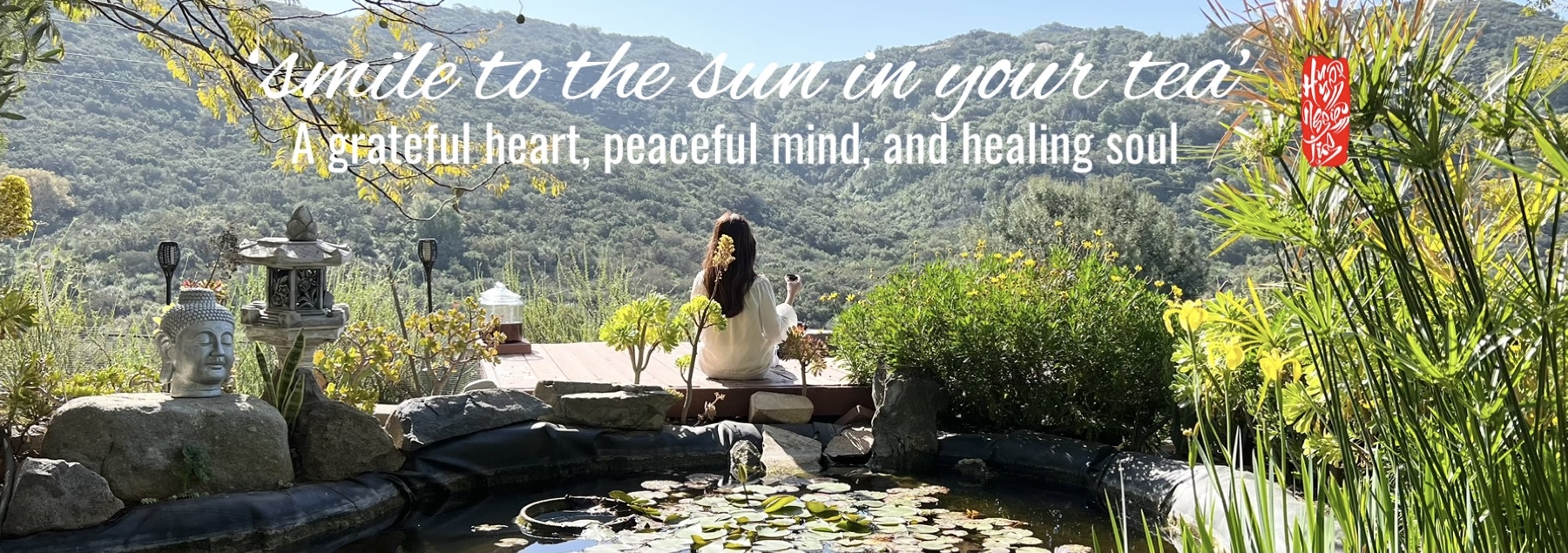 Tea meditation and energy healing with the energy of the sun by lotus pond at Deer Park Monastery