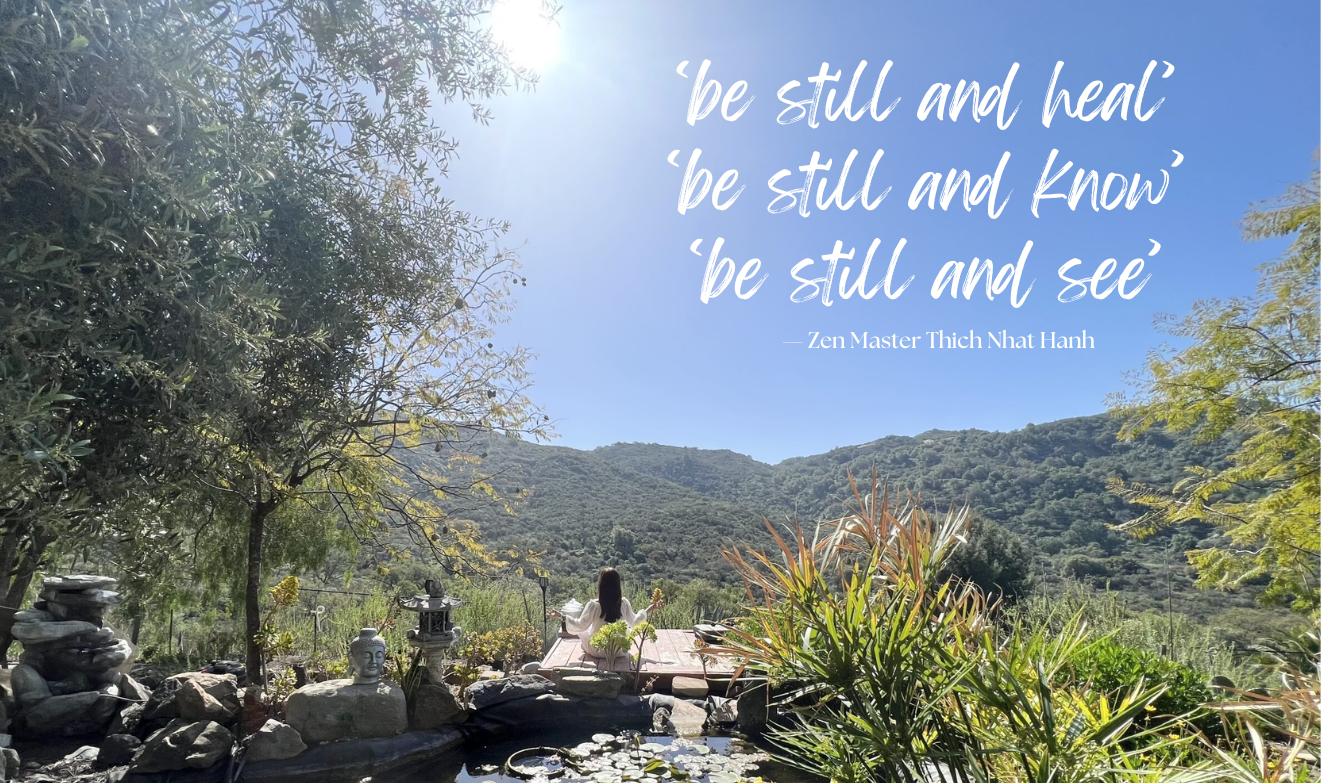 meditation by the lotus pond at Deer Park Monastery