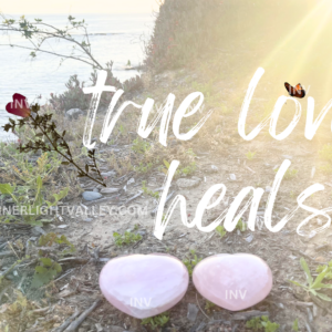 "true love heals" with butterflies, rose quartz and dried flower