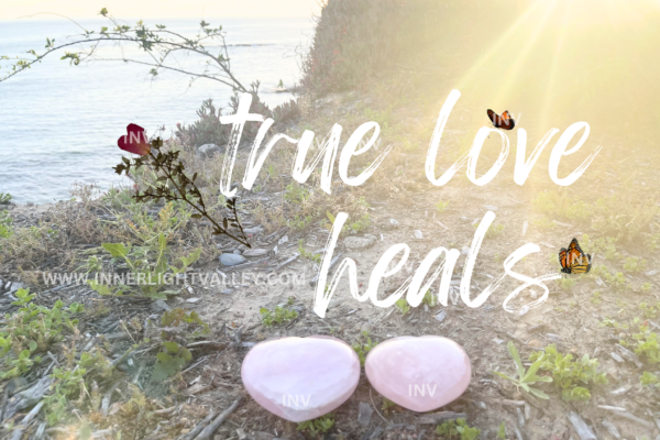 "true love heals" with butterflies, rose quartz and dried flower