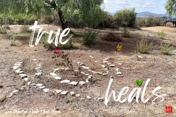 "true love heals" - Zen master Thich Nhat Hanh