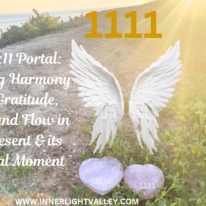 The 11:11 Portal: Creating Harmony with Gratitude, Trust, and Flow